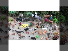 Hình tượng động vật