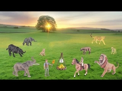 Động vật hoang dã châu Phi