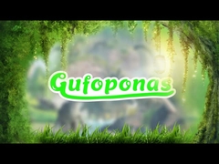 Đồ chơi hình tượng thời kỳ Jurassic 20 PCS Mini Dinosaur Figure Set Sơn tay