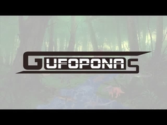 Bộ hình khủng long Đồ vẽ bằng tay thực tế Hình Dilophosaurus với hàm di động